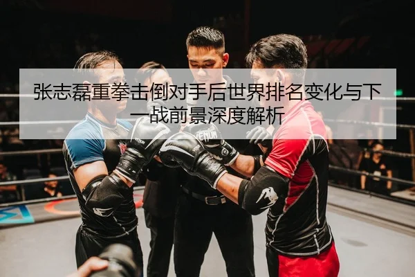 张志磊重拳击倒对手后世界排名变化与下一战前景深度解析